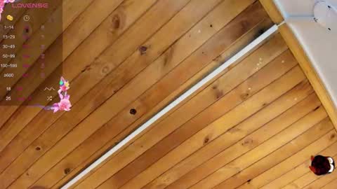 Snapshot of cristal__hot_1 chatting on 09/22/25, 04:25 Cristal online show from 09/22/25, 04:25