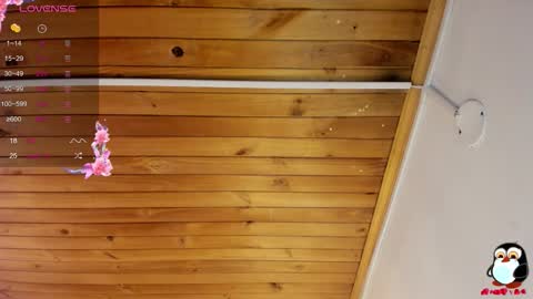 Snapshot of cristal__hot_1 chatting on 09/29/25, 04:06 Cristal online show from 09/29/25, 04:06