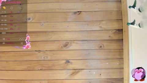 Snapshot of cristal__hot_1 chatting on 10/26/25, 04:07 Cristal online show from 10/26/25, 04:07