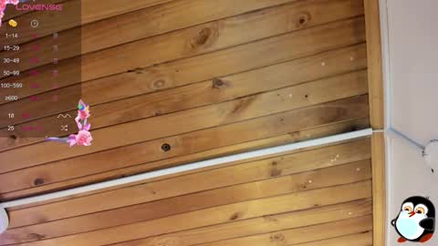 Snapshot of cristal__hot_1 chatting on 10/29/25, 05:53 Cristal online show from 10/29/25, 05:53