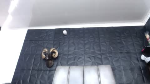 Hanna  online show from 03/15/26, 02:01