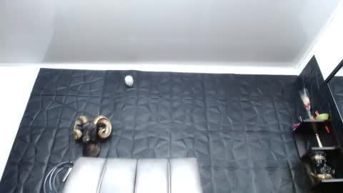 Hanna  online show from 04/21/26, 08:53