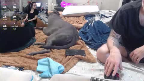 Crownandkat online show from 03/02/26, 11:33