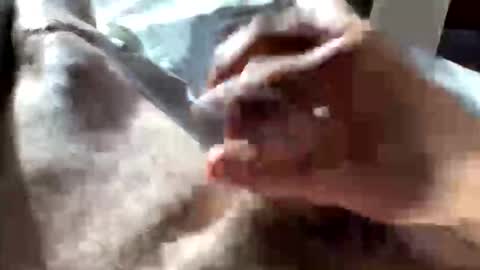 Crushit online show from 01/10/26, 05:04