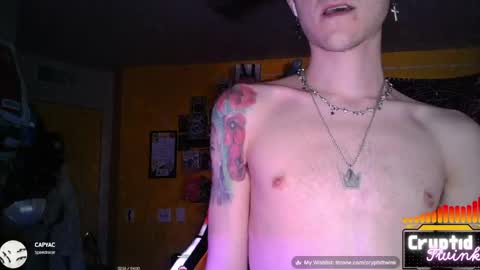 Snapshot of cryptidtwink chatting on 06/05/26, 05:58 CryptidTwink online show from 06/05/26, 05:58