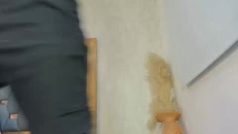 crystal_sm online show from 02/27/26, 03:06