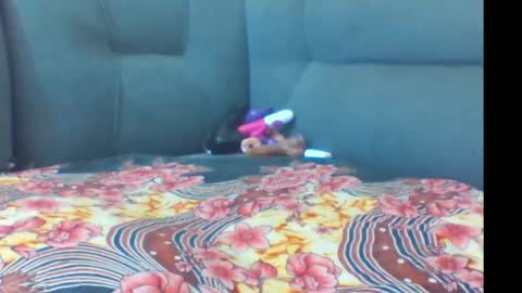 crystallgem online show from 03/02/26, 01:07