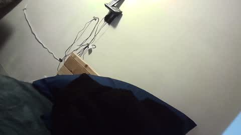 Zelly online show from 12/11/24, 07:31