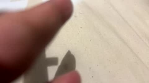 im KIM new girl to spoil online show from 10/21/25, 02:51