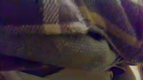 Snapshot of cumnridewa chatting on 06/17/26, 12:13 cumtowa online show from 06/17/26, 12:13
