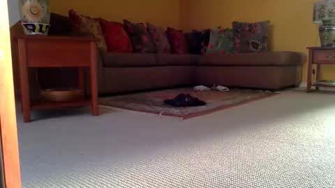 cumonherguys online show from 11/08/25, 08:36