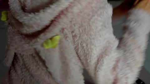 Snapshot of curlyanto chatting on 11/12/25, 11:14 Antonia online show from 11/12/25, 11:14