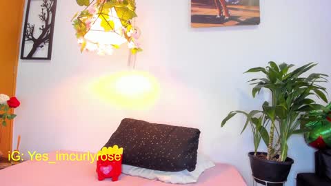 Rose online show from 01/28/25, 08:04