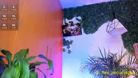 Rose online show from 09/24/25, 09:29