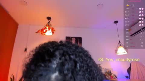 Rose online show from 11/12/25, 10:52