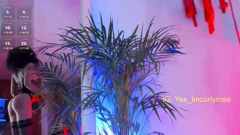 Rose online show from 11/22/25, 10:20