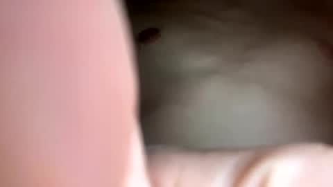 curvy24777 online show from 02/23/25, 07:44