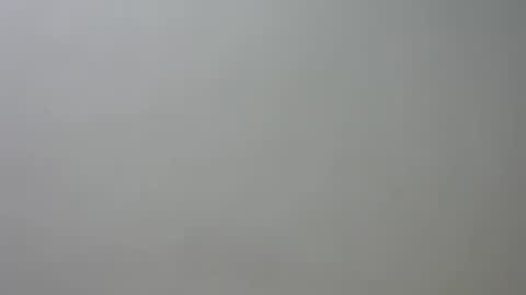 Snapshot of curvylizy chatting on 06/24/26, 02:49 liz online show from 06/24/26, 02:49