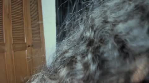 curvypornxxx online show from 01/24/25, 10:43