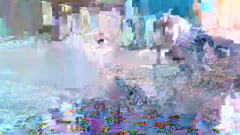 cute_savanna online show from 02/11/26, 08:19