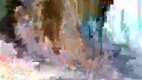 cute_savanna online show from 03/10/26, 05:01