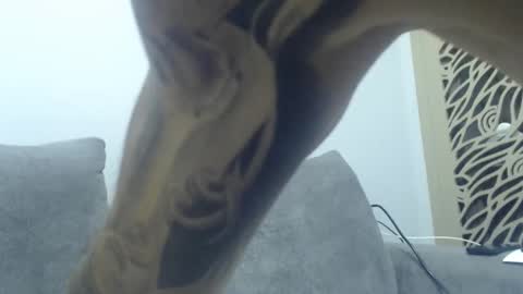 Snapshot of cuteeboy chatting on 12/02/25, 08:37 cuteeboy online show from 12/02/25, 08:37