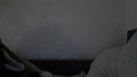 Snapshot of cutekattie chatting on 12/09/24, 08:00 cutekattie online show from 12/09/24, 08:00