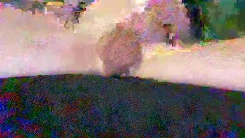 cwaddle online show from 01/10/25, 03:48