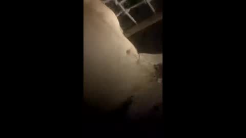 Snapshot of da_p44 chatting on 03/22/26, 02:26 da_p44 online show from 03/22/26, 02:26