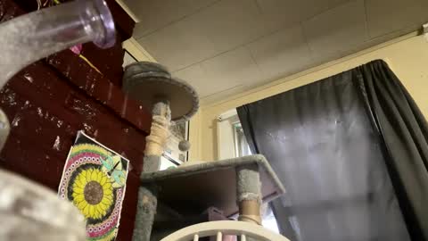 dabqueen_1994 online show from 04/09/26, 11:59