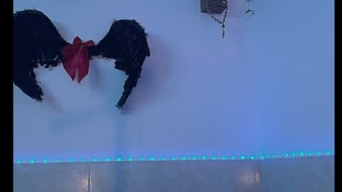 Snapshot of dabria_luxe chatting on 07/12/26, 06:59 dabria_luxe online show from 07/12/26, 06:59