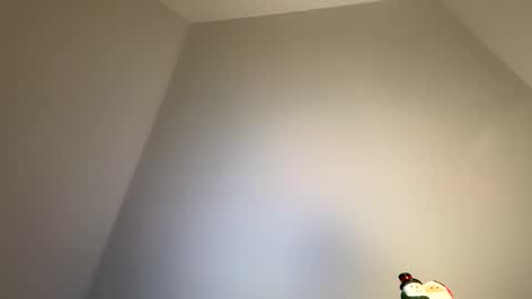 dachdecker7269 online show from 02/09/26, 05:11