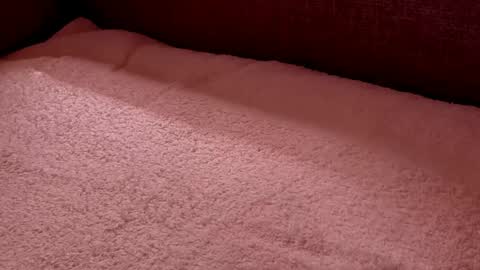  Richard  online show from 02/27/25, 09:58