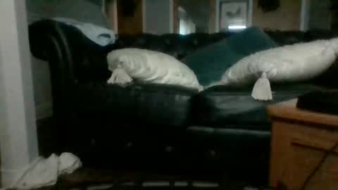 cumslutangel online show from 09/17/25, 03:08