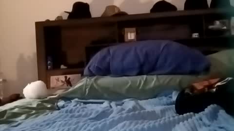 Snapshot of daddy69sx77 chatting on 02/17/26, 06:03 Kasey Xdresser online show from 02/17/26, 06:03