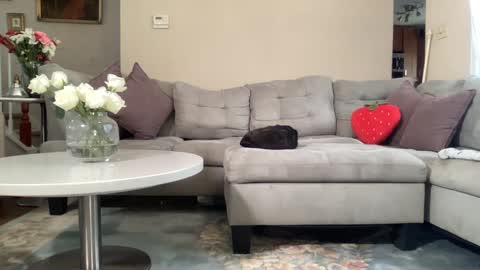 Snapshot of daddy_daycare_ chatting on 02/22/26, 05:55 Belle Email daddydaycarecb online show from 02/22/26, 05:55