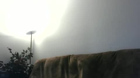 Snapshot of daddydave6400 chatting on 05/18/26, 03:46 daddydave6400 online show from 05/18/26, 03:46