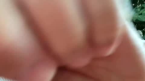 Snapshot of daddydick926 chatting on 09/11/25, 01:22 daddydick926 online show from 09/11/25, 01:22