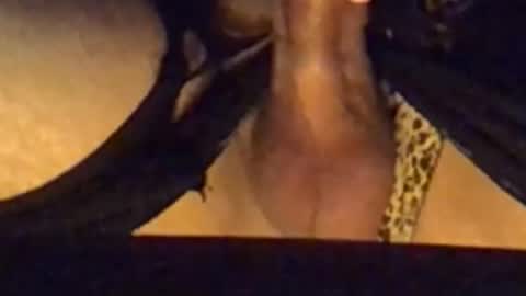 daddypervbuttprincess online show from 09/13/25, 02:50