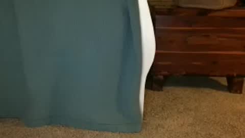 Snapshot of daddys_barbie chatting on 10/03/25, 03:14 daisy June online show from 10/03/25, 03:14