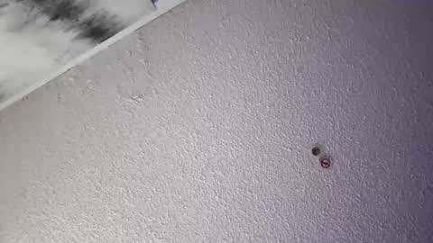 PapiGuerodaddysgirl online show from 04/04/26, 06:00