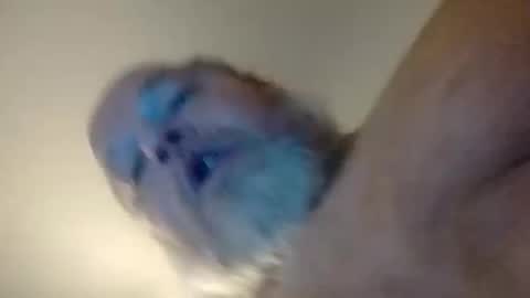 Daddyshome4115 online show from 12/20/25, 06:42