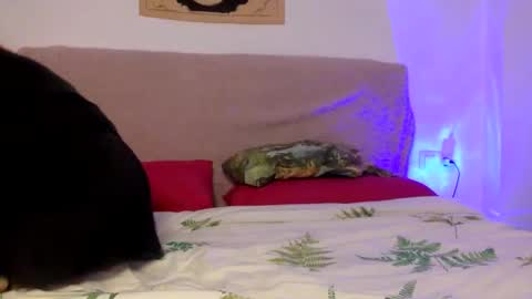 Snapshot of dafnesqueeze chatting on 01/07/25, 06:14 dafnesqueeze online show from 01/07/25, 06:14