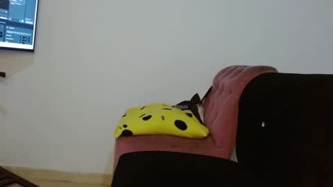 Daiisha.. online show from 04/18/26, 08:07