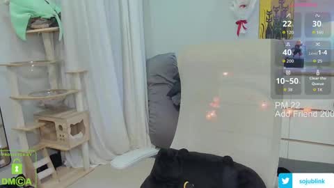 Daisy online show from 04/20/26, 08:06