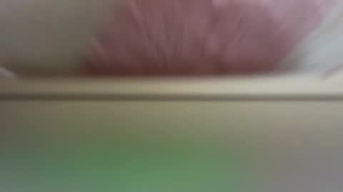 Daisy online show from 03/19/26, 11:36