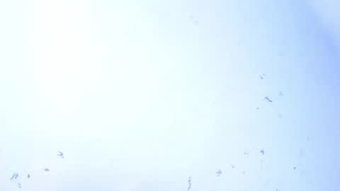 Snapshot of dakkotta_curvy chatting on 09/28/25, 07:47 VALENTINA online show from 09/28/25, 07:47