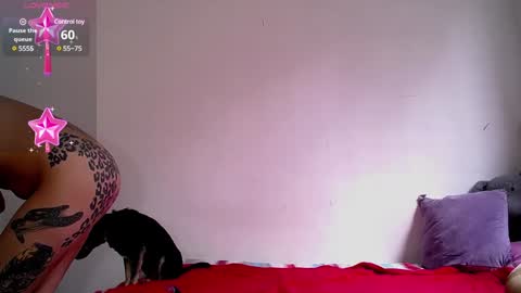 Dakota and Aron online show from 12/05/24, 07:06