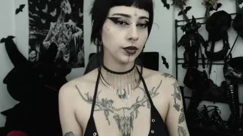 dakota online show from 07/04/26, 02:29