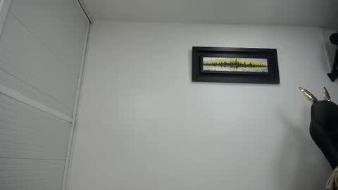 dalia dubey online show from 02/17/25, 04:15